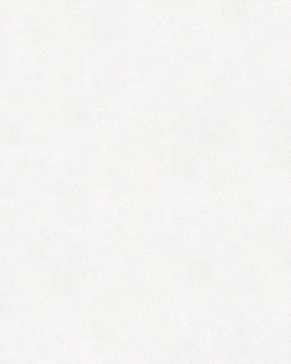 Marburger Tapete 32278 10,05 x 0,53 m Modernista 2024 verläng.2025